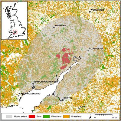 Modelling Spatial and Temporal Patterns of African Swine Fever in an Isolated Wild Boar Population to Support Decision-Making